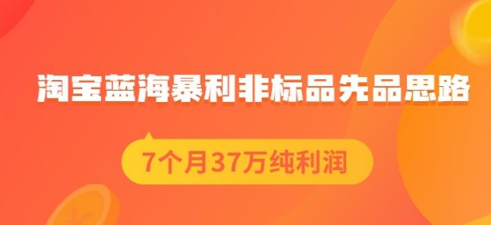 盗坤淘宝蓝海暴利非标品先品思路，7个月37万纯利润，压箱干货分享！【付费文章】-58轻创项目库