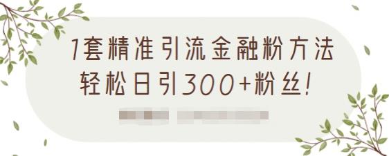 1套精准引流金融粉方法，轻松日引300 粉丝【视频课程】-58轻创项目库