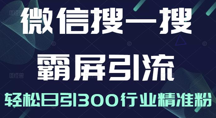 微信搜一搜霸屏引流课，打造被动精准引流系统，轻松日引300行业精准粉【无水印】-58轻创项目库