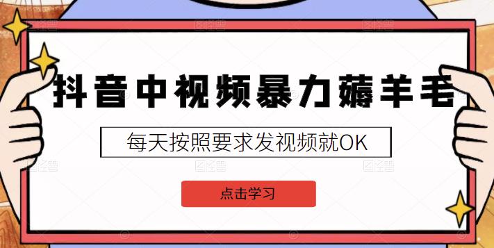 2022抖音中视频暴力薅羊毛白嫖项目：新号每天20块，老号几天几百块，可多号-58轻创项目库