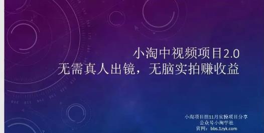 小淘项目组网赚永久会员，绝对是具有实操价值的，适合有项目做需要流程【持续更新】-58轻创项目库