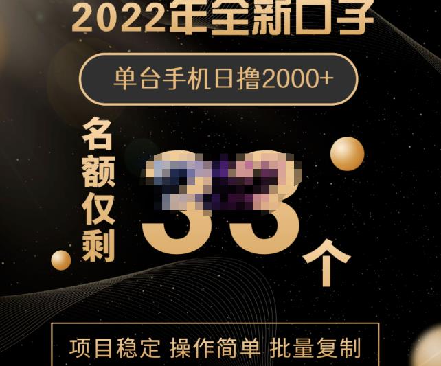 2022年全新口子，手机批量搬砖玩法，一部手机日撸2000-58轻创项目库