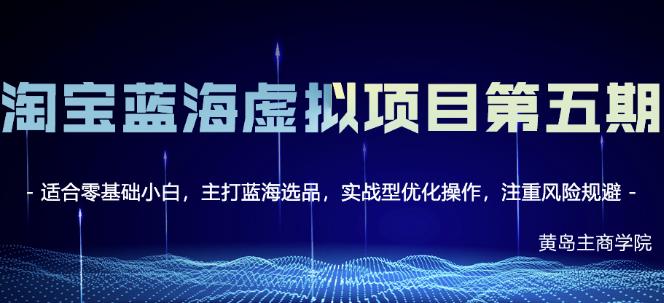 淘宝虚拟无货源3.0 4.0 5.0，适合零基础小白，主打蓝海选品，实战型优化操作-58轻创项目库