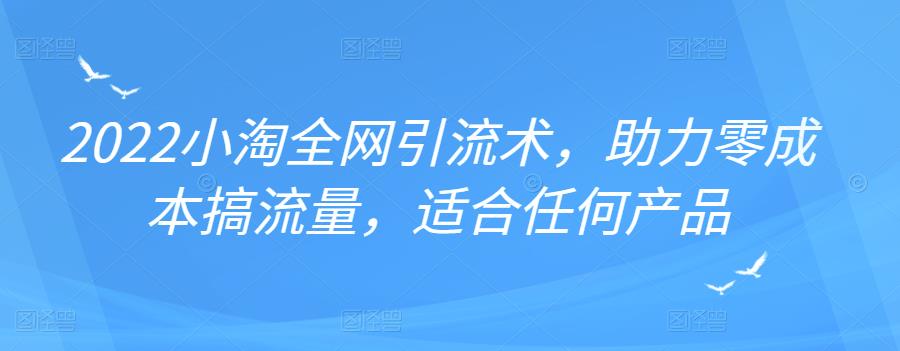 2022年小淘全网引流术，助力零成本搞流量，适合任何产品-58轻创项目库