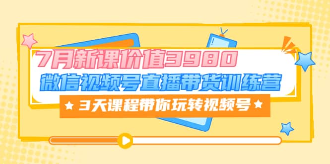 微信视频号直播带货训练营，3天课程带你玩转视频号：7月新课价值3980-58轻创项目库