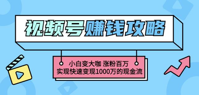 玩转微信视频号赚钱：小白变大咖涨粉百万实现快速变现1000万的现金流-58轻创项目库