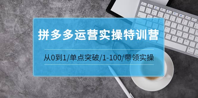 拼多多运营实操特训营：从0到1/单点突破/1-100/带领实操 价值2980元-58轻创项目库