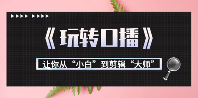 月营业额700万 大佬教您《玩转口播》让你从“小白”到剪辑“大师”-58轻创项目库