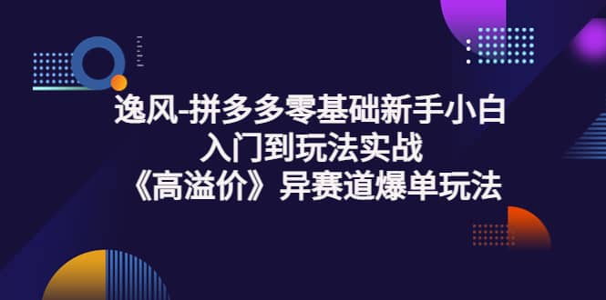 拼多多零基础新手小白入门到玩法实战《高溢价》异赛道爆单玩法实操课-58轻创项目库