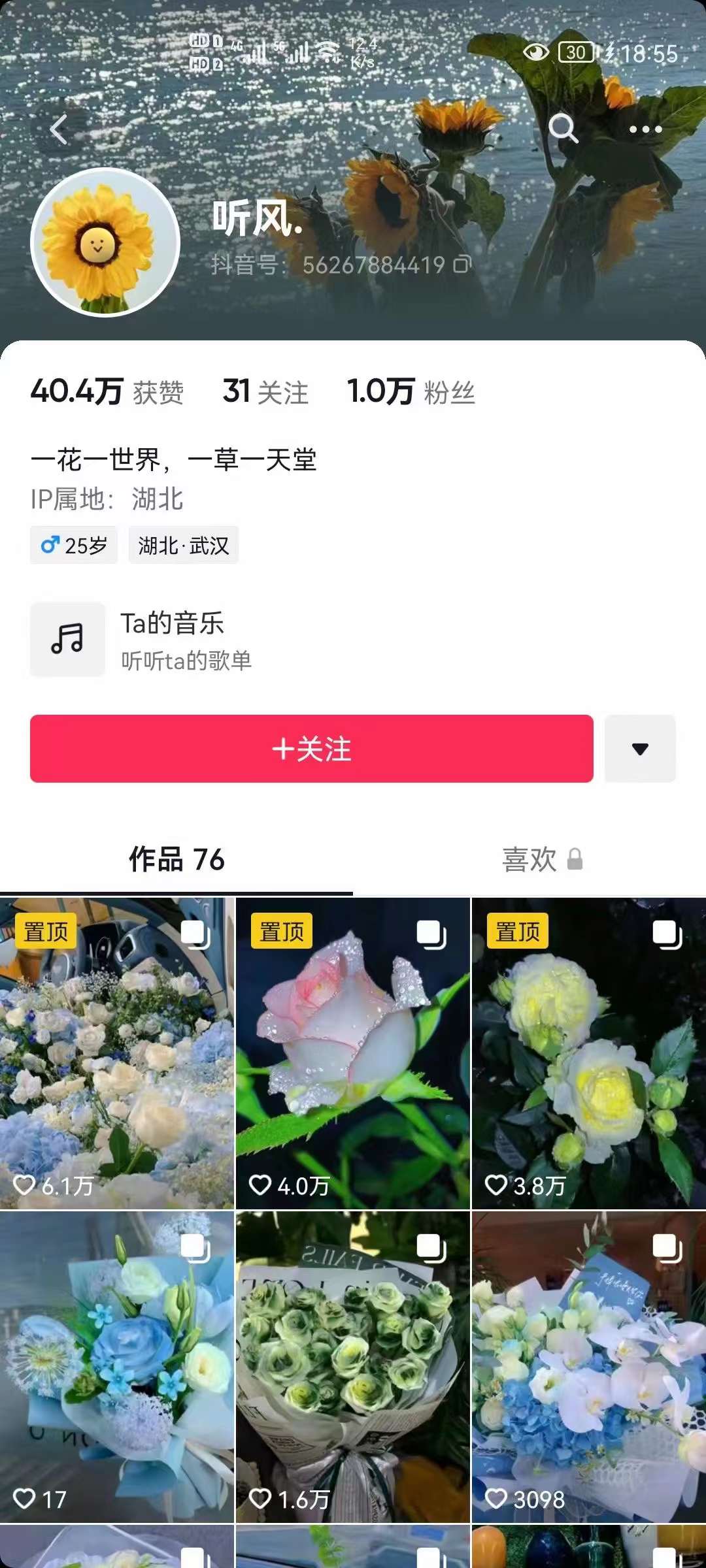 图片[2]-抖音壁纸变现项目：实战日入380 发布壁纸素材获取收益！-58轻创项目库