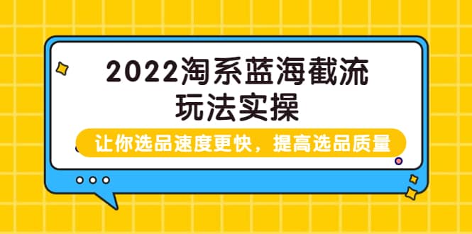 2022淘系蓝海截流玩法实操：让你选品速度更快，提高选品质量（价值599）-58轻创项目库