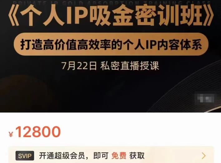 个人IP吸金密训班，打造高价值高效率的个人IP内容体系（价值12800元）-58轻创项目库