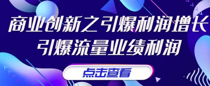 《商业创新之引爆利润增长》引爆流量业绩利润-58轻创项目库