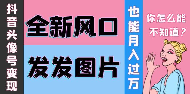 抖音头像号变现0基础教程-58轻创项目库