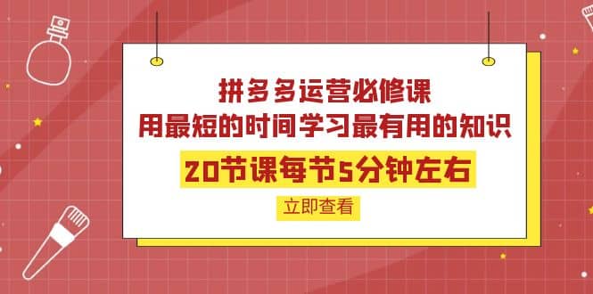 拼多多运营必修课：20节课每节5分钟左右，用最短的时间学习最有用的知识-58轻创项目库