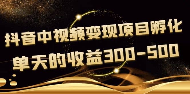 黄岛主《抖音中视频变现项目孵化》单天的收益300-500 操作简单粗暴-58轻创项目库