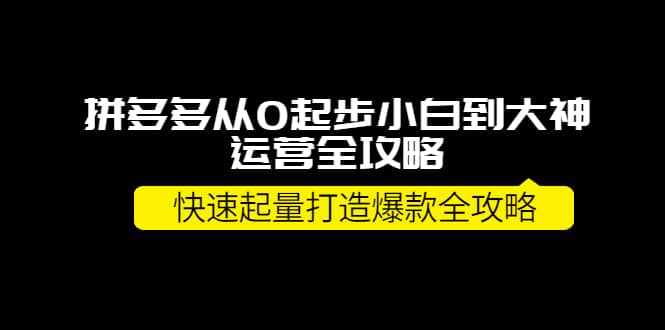 拼多多从0起步小白到大神运营全攻略-58轻创项目库