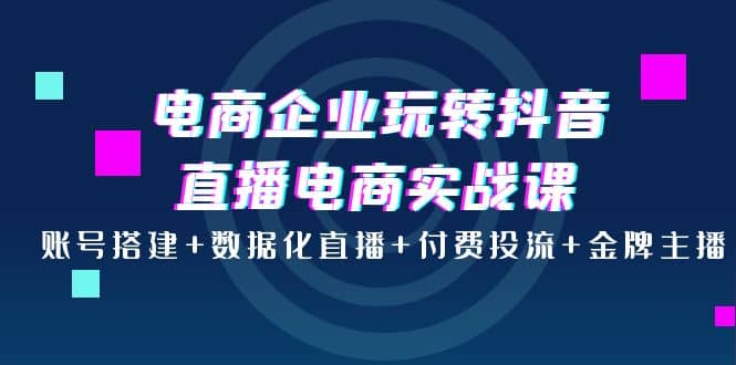 电商企业玩转抖音直播电商实战课：账号搭建 数据化直播 付费投流 金牌主播-58轻创项目库