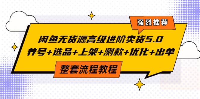 闲鱼无货源高级进阶卖货5.0，养号 选品 上架 测款 优化 出单整套流程教程-58轻创项目库