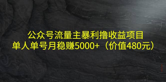 公众号流量主暴利撸收益项目，单人单号月稳赚5000 （价值480元）-58轻创项目库