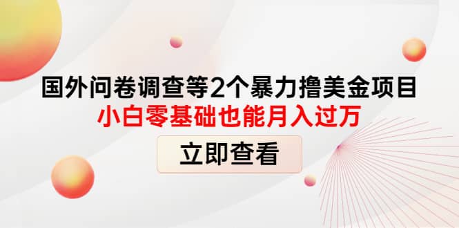 国外问卷调查等2个暴力撸美元项目，小白零基础也能月入过万-58轻创项目库