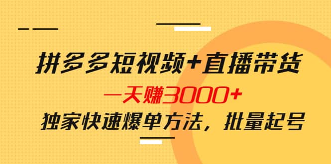 拼多多短视频 直播带货，一天赚3000 独家快速爆单方法，批量起号-58轻创项目库