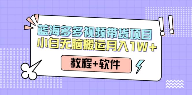 人人都能操作的蓝海多多视频带货项目 小白无脑搬运（教程 软件）-58轻创项目库