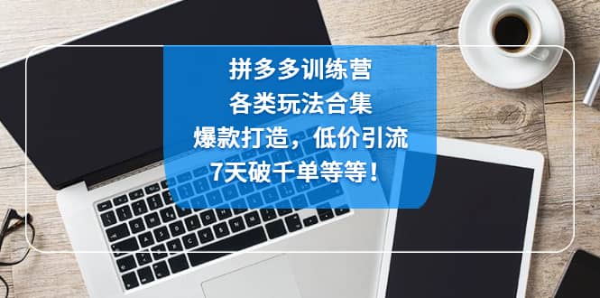 拼多多训练营：各玩法合集，爆款打造，低价引流，7天破千单等等-58轻创项目库