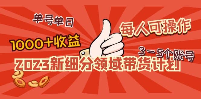 2023新细分领域带货计划：单号单日1000 收益不难，每人可操作3-5个账号-58轻创项目库