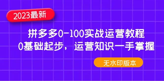 2023拼多多0-100实战运营教程，0基础起步，运营知识一手掌握（无水印）-58轻创项目库