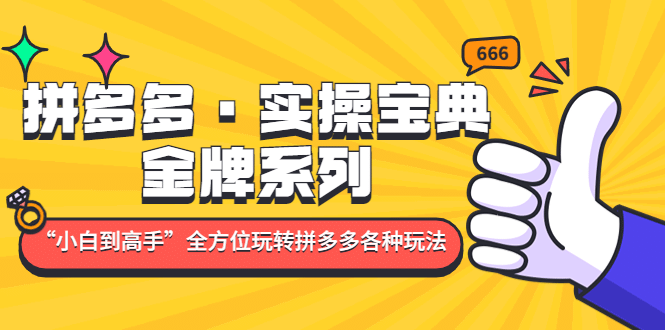 拼多多·实操宝典：金牌系列“小白到高手”带你全方位玩转拼多多各种玩法-58轻创项目库