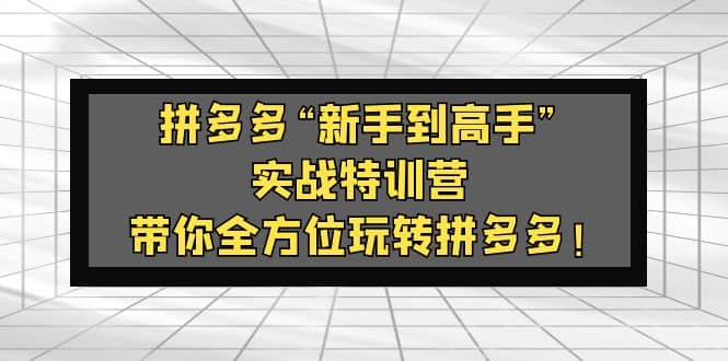 拼多多“新手到高手”实战特训营：带你全方位玩转拼多多-58轻创项目库