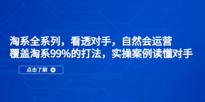 淘系全系列，看透对手，自然会运营，覆盖淘系99%·打法，实操案例读懂对手-58轻创项目库