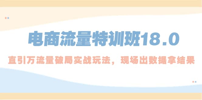 电商流量特训班18.0，直引万流量破局实操玩法，现场出数据拿结果-58轻创项目库