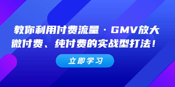 教你利用付费流量·GMV放大，微付费、纯付费的实战型打法-58轻创项目库