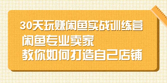 30天玩赚闲鱼实战训练营，闲鱼专业卖家教你如何打造自己店铺-58轻创项目库