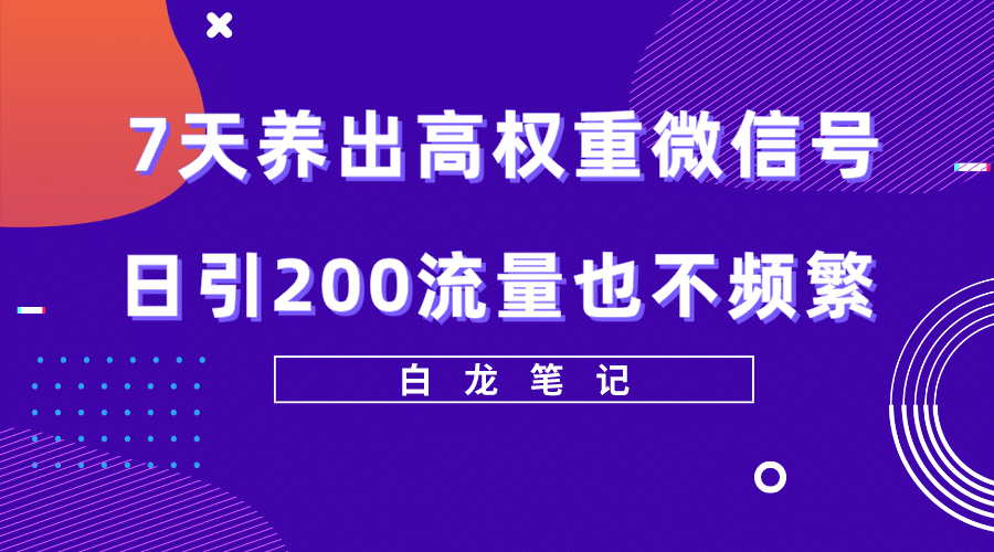 7天养出高权重微信号，日引200流量也不频繁，方法价值3680元-58轻创项目库