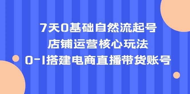 7天0基础自然流起号，店铺运营核心玩法，0-1搭建电商直播带货账号-58轻创项目库