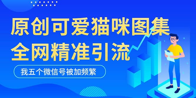 黑科技纯原创可爱猫咪图片，全网精准引流，实操5个VX号被加频繁-58轻创项目库