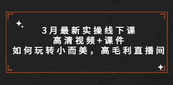 3月最新实操线下课高清视频 课件，如何玩转小而美，高毛利直播间-58轻创项目库