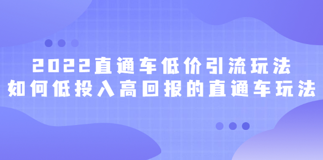 2022直通车低价引流玩法，教大家如何低投入高回报的直通车玩法-58轻创项目库