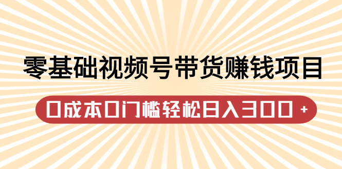 零基础视频号带货赚钱项目，0成本0门槛轻松日入300 【视频教程】-58轻创项目库