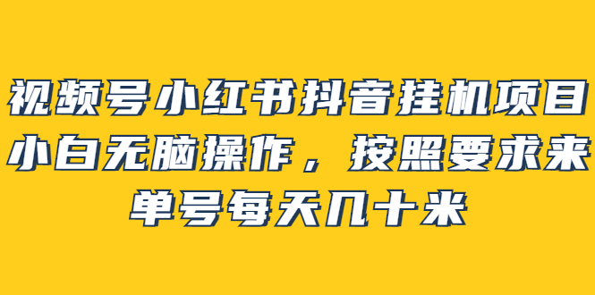 视频号小红书抖音挂机项目，小白无脑操作，按照要求来，单号每天几十米-58轻创项目库