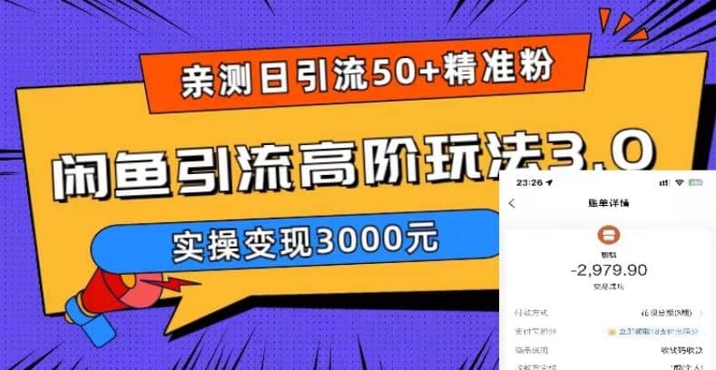 实测日引50 精准粉，闲鱼引流高阶玩法3.0，实操变现3000元-58轻创项目库