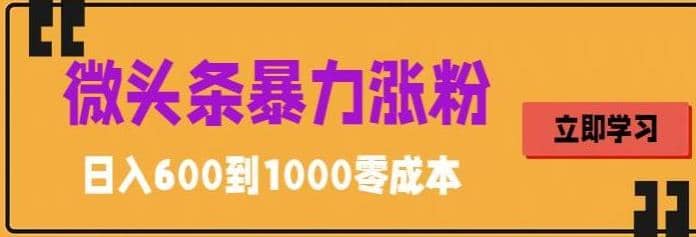 微头条暴力涨粉技巧搬运文案就能涨几万粉丝，简单0成本，日赚600-58轻创项目库