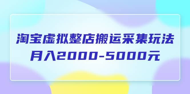 淘宝虚拟整店搬运采集玩法分享课：月入2000-5000元（5节课）-58轻创项目库