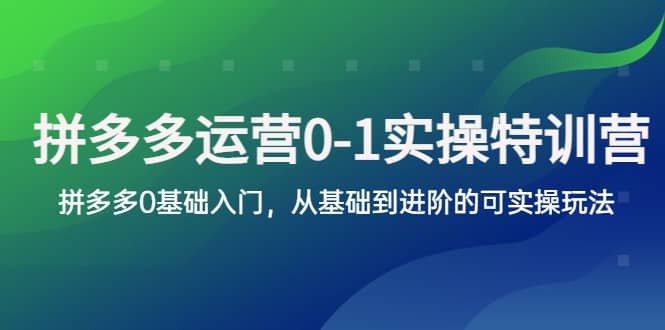 拼多多-运营0-1实操训练营，拼多多0基础入门，从基础到进阶的可实操玩法-58轻创项目库