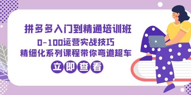 2023拼多多入门到精通培训班：0-100运营实战技巧 精细化系列课带你弯道超车-58轻创项目库