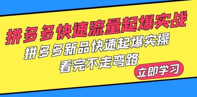 拼多多-快速流量起爆实战，拼多多新品快速起爆实操，看完不走弯路-58轻创项目库