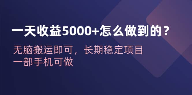 一天收益5000 怎么做到的？无脑搬运即可，长期稳定项目，一部手机可做-58轻创项目库